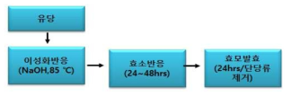 락툴로즈 순도 60%를 위한 효모발효 공정24hr 48hr