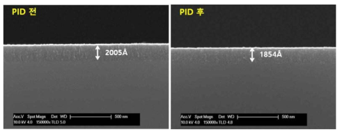 PID 전 ㆍ후 SEM image