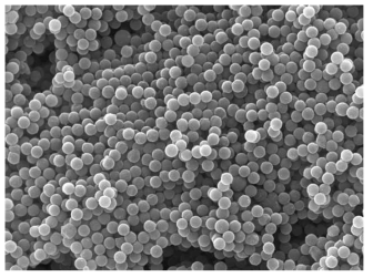 3차년도 Base Polymer(Polystyrene(PS)) SEM 측정 결과