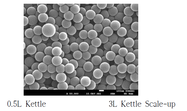 Scale-Up SEM 측정결과