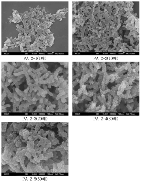 Polyaniline의 합성비율별 SEM 분석