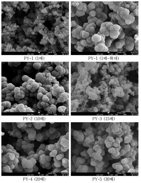 Polypyrrole의 SEM 분석