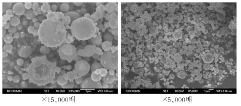 Mn3O4 SEM 측정 결과