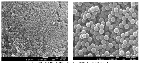 0.5L Scale SEM 측정결과