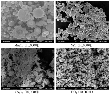 금속산화물의 SEM 측정 결과