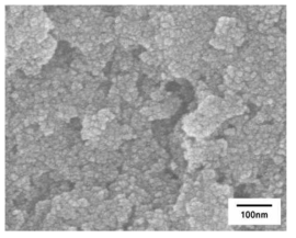 합성된 Mn3O4의 SEM사진