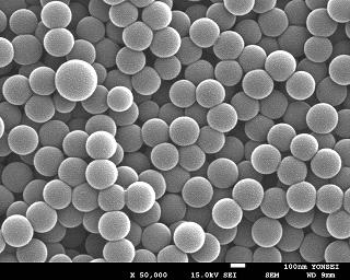 Base Polymer(Polystyrene(PS)) Scale-up SEM 측정결과