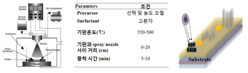 SPD를 이용한 morphology tuning 및 제어 - 1차년도