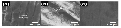Nanoimprinting을 이용하여 표면이 patterned 필름의 SEM 결과