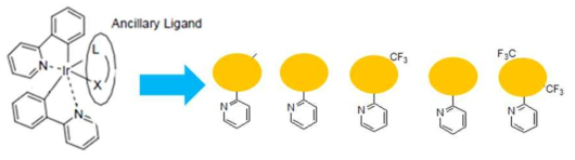 2차년도 이리듐화합물 고안 모식도