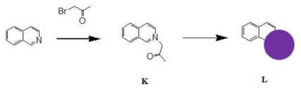 WBD-15 Ligand 합성