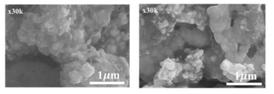 Ag Paste SEM 이미지