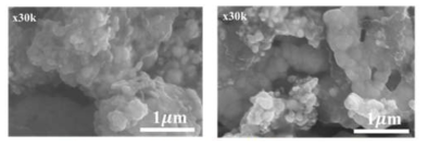 Ag Paste SEM 이미지