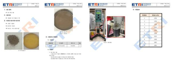 2차년도 점도측정 결과 시험성적서