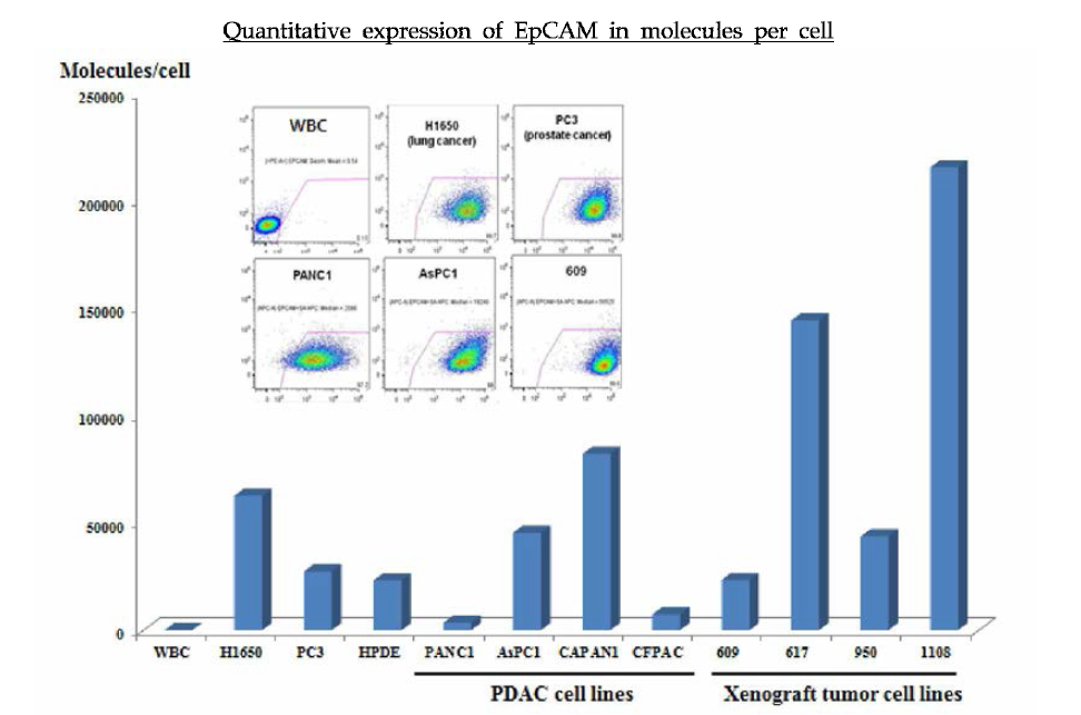 다양한 세포 주에서 즉정한 EpCAM 정량적 발현 수치