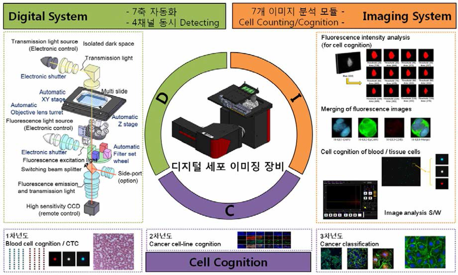 세포 분석, 바이오-메디컬 연구용 현미경으로서의 활용
