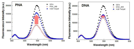 MB-PNA 시스템과 MB-DNA 시스템 비교