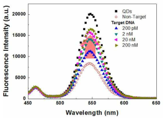 Target DNA 몰농도에 따른 MB-PNA 시스템의 형광 세기 변화