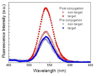 QD-PNA 시스템의 고정화 순서에 따른 형광 스펙트럼
