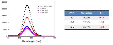 PNA probe 길이에 따른 Quenching 및 target DNA에 대한 반응성 차이