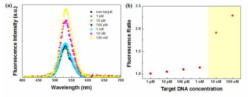 target DNA 농도에 따른 PNA-QD 시스템의 (a) 형광 스펙트럼, (b) FR값의 변화