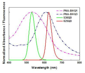 530nm, 625nm 양자점의 형광 스펙트럼과 PNA530, PNA625의 흡수 스펙트럼