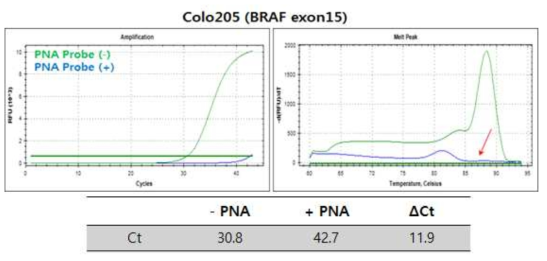 RT-PCR기반 Reduction Test