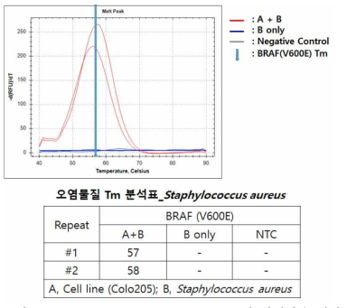 Staphylococcus aureus gDNA와 간섭반응 결과