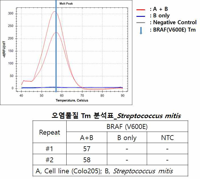 Streptococcus mitis gDNA와 간섭반응 결과