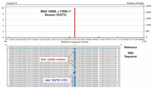0.01% BRAF(V600E) 돌연변이 검출