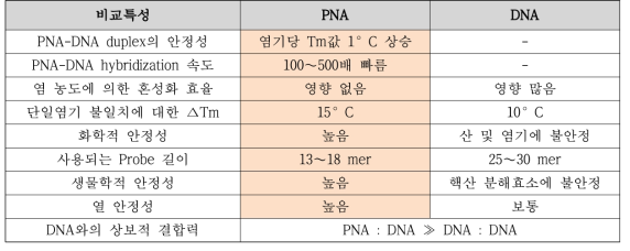 PNA vs. DNA의 특성 비교