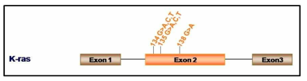 KRAS 돌연변이 유전자 분포도