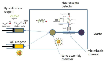 PNA-나노하이브리드 융합소재 검출용 형광 측정장비