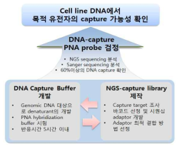 PNA-나노하이브리드 융합소재 유용성 평가를 위한 NGS 기술 개발