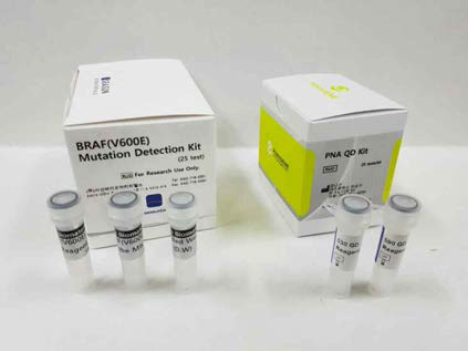 BRAF(V600E) Mutation Detection Kit