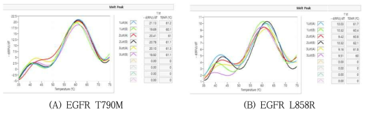 EGFR (T790M, L858R) 돌연변이 진단 시약 - 재현성 시험