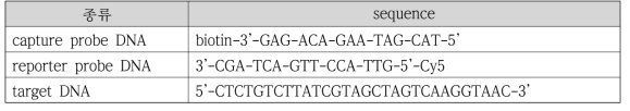 DNA probe 및 target sequence
