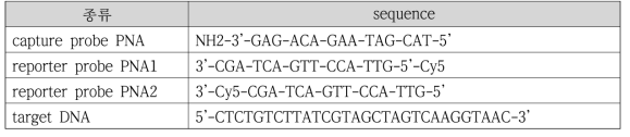 PNA probe 및 target sequence