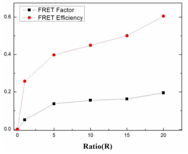 R(Cy5/QD)의 변화에 따른 PNA2 conjugate의 FRET factor (F), FRET efficiency (E) 비교 결과