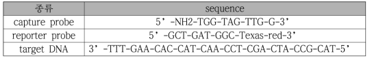 sandwich probe type의 각 probe와 target DNA의 sequence