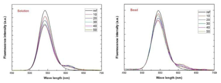 각 비율에 따른 single 양자점-DNA/PNA 나노하이브리드와 bead에 집적화된 양자점-DNA/PNA 나노하이브리드의 형광 스펙트럼 결과