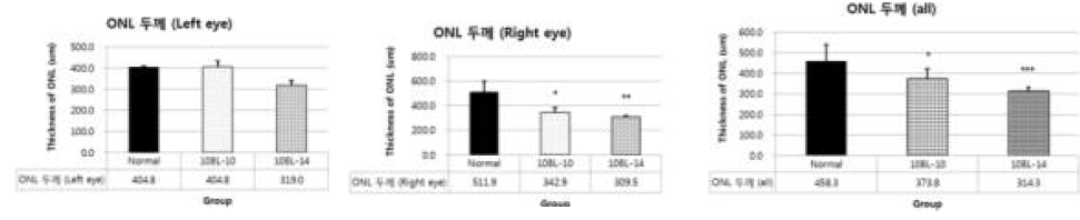 청색광 유도 동물모델(10,000 lux 조사 회수 증가)의 ONL 두께 결과