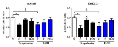 Effect of fermented Laminaria extract on protein levels of mAchR, and ERK1/2 in hippocampus.
