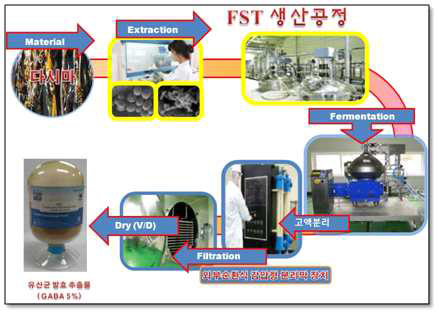 기개발 소재(FST)의 생산공정 모식도