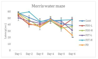 Morris water maze test 결과