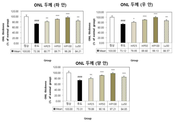 UV-A(5J/㎠) 유발 동물모델의 안구조직 ONL 두께