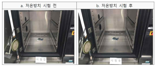 저온 방치 사진