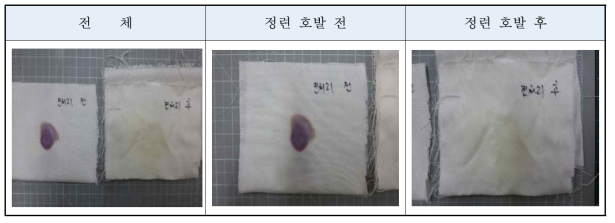 시직 원단의 전처리 전후 호제 감별 시약 Test 결과