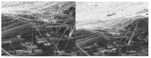 PSA/Aramid (50:50)에 방사한 뒤 나노섬유와의 결합력을 SEM 단면으로 관찰