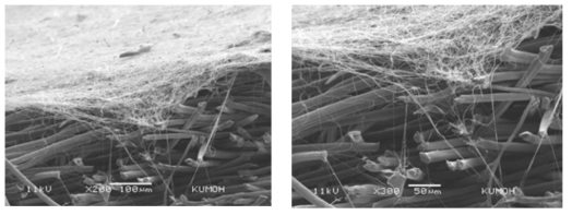 PSA/Aramid (50:50)에 방사한 뒤 나노섬유와의 결합력을 SEM 단면으로 관찰